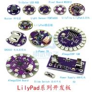 Lilypad Series Development Board 328P 32U4 WS2812 Buzzer TEMT6000 CR2032