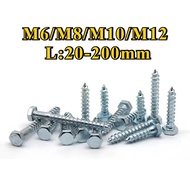 Galvanized hexagonal self-tapping DIN571 Galvanized wood screw Self-tapping screw Extended hexagonal