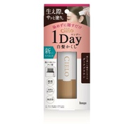 CIELO 1 Day 白髮遮蓋筆 方便用，唔輪盡 擺手袋隨時幫白頭髮遮瑕