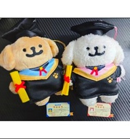 🎓現貨 🐶 Maltese 畢業公仔 線條小狗 💢韓國爆紅 Maltese 線條小狗