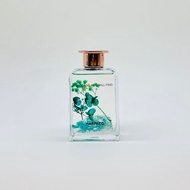 天然 王者歸來 藤枝家居香薰 木質室內無火香薰 擴香香氛