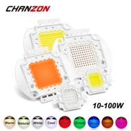 CHANZON 1pc High Power LED Chip 10W 20W 30W 50W 100W Warm Natural Cold White Red Green Blue Yellow R