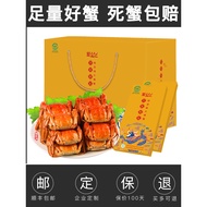 [Gift Voucher] Yangcheng Lake Hairy Crab Gift Voucher Male 5.0 Female 3.5 taels 8 Mid-Autumn Festiva