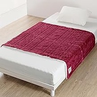 Nishikawa FE75503638 PN4655 Snoopy Half Blanket, 55.1 x 39.4 inches (140 x 100 cm), Washable, Silhou