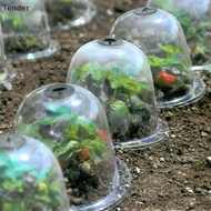 [MissPumpkin] Garden Cloche Dome Plant Bell Plant Covers Garden Decor Plant Protector Cover [Preferred]