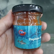 Daphnia magna 45ML(kutu air)
