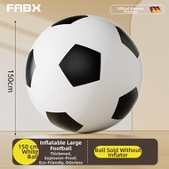 FABX | Inflatable Giant Ball for Outdoor Play