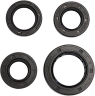 Minho GY6 50CC Engine Oil Seal Kit for Chinese GY6 49cc 50cc 139QMA 139QMB Scooter Mopeds ATV