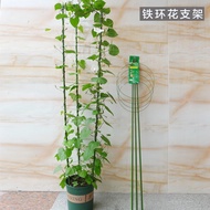 Climbing Rattan Flower Stand Mocho Potted Plant Fixed Iron Ring Flower Stand Iron Line Lotus Climbing Rattan Stand Rose Flower Support Plastic-coated Gardening Flowerpot Stand