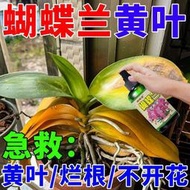 有機肥 花肥 開花肥 肥料 氮磷鉀 磷鉀肥 磷酸二氫鉀 蝴蝶蘭專用營養液快速促花劍開花防黃葉病爛根葉面肥有機肥通用型