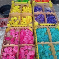 ANAK AYAM WARNA WARNI 1 BOX ISI 102 EKOR - DOC AYAM PELANGI
