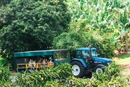 Tour trong ngày đến Gold Coast Tropical Fruit World & Byron Bay