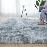Thick Small Sofa Carpet Rectangular Dirt-Resistant Living Room Carpet Bedside Blanket Bay Window Car