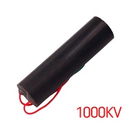 400KV 1000KV High Voltage Generator Arc Generator Step Up Boost Transformer Super Arc Ignition Coil 