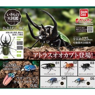 Gashapon Bandai Kuwaita Hercules Beetle Action Vol.06 Animal Model