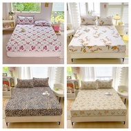 New 880TC  Bedsheet (Single / Super Single / Queen / King)Cotton Fitted Bedsheet Set Cadar Getah Kel