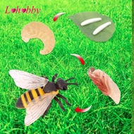 Lohobby Animal Growth Cycle Figure Puzzle Science Farm Animals Figurines Teaching Props