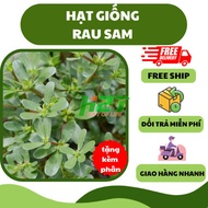 Purslane seeds 1 gram - delicious, nutritious, grown all year round - H2t Farm