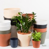 Spruce Monopot Nook With Catch Plate Sturdy & Lightweight Pots [8" (D) x 7" (H) inches]