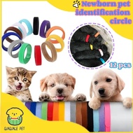 12PCS Newborn Pet Identification Circle Puppy Dog Cat Neck Identification Band Pet Neck Collar