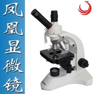 PH50-1B43L-A Phoenix Optical Electronic Digital Biological Microscope Student Children Breeding Mite