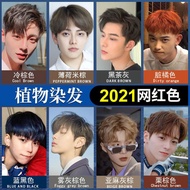 2021 men dye hair cream color hair dye color white dark to d Hair Dye cream Men's Special Color Hair