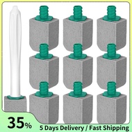 10 Pcs Pumice Stone Toilet Bowl Cleaner Toilet Pumice Stone with Long Handle Toilet Brush for Pool B