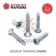 Tapping Screw HPL PH+ Tapping Screw 6x1