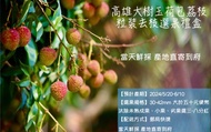 【端午後出貨！特等玉荷包荔枝5斤粒裝禮盒】高雄大樹鮮採直送