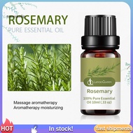 RR 10ML Rosemary Essential Oil Moisturizing Rosemary Single Massage Oil for Beauty