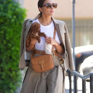 Dior 焦糖色bobby中號  22*18  98新配件塵袋