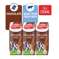 Magnolia UHT Chocolate Flavoured Milk 250ml x 6s x 4