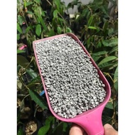 TSP Triple Super Phosphate Granulate Fertilizer P2O5 Baja Akar 生根磷肥