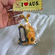 fridge magnet kangaroo australia