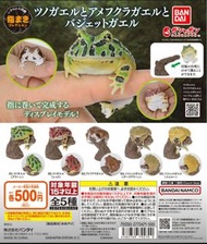 全新 Bandai 指上 指尖 角蛙 饅頭蛙 小丑蛙 沙蛙 鱗蛙模型 扭蛋 (全5款) 不散賣