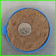 ✺ ☻ ➮ Tateh PO1 & PO2 sinker 4.5kg