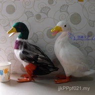 Duck Model Wild Duck Cognitive Feather Flower Animal Big White Duck Poultry Props Teaching Simulatio