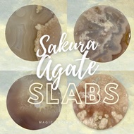 Sakura Agate Slabs II