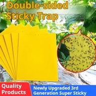 Double-Sided Insect Sticky Board - Flying Insect Trap Paper for Thrips, Fungus Gnats, Fruit Flies & 
