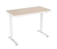 威帕斯 - WIPAS-威帕斯 電動升降枱-120cm/人體工學/坐立兩用升降枱/電動桌/電腦枱/書枱