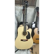 F310 Acoustic Guitar