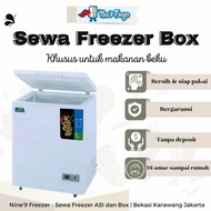 Freezer Box Chest RSA 100 liter bukaan atas frozen food