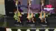 【紫色風鈴2】海賊王魂限定F.Zero 15週年紀念動物系列布魯克 長頸鹿  港版