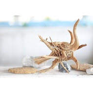 Set B52 For Decorating Aquariums +