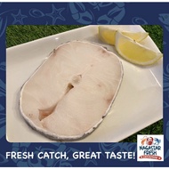 CHILEAN COD FISH FRESH FROZEN IMPORT