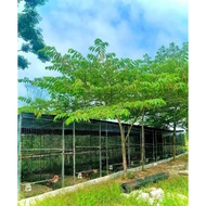 Plastic mesh 2cm, 1m*4m, flexible and easy to install to make chicken coop and fence