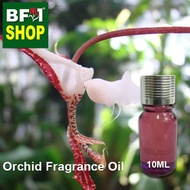 Orchid Fragrance Oil - Punch & Judy orchid > Gongora species