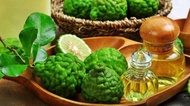 Kaffir Lime Essential Oil - 10ml/50ml/100ml 麻枫柑精油 (Indonesia)