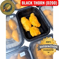 Black Thorn Durian D200 – Premium Grade | 400g Blast Freeze Pulp | Rich Creamy Sweet‑Bitter