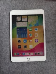 Apple iPad mini 5 WiFi+Cellular 256GB 很新淨